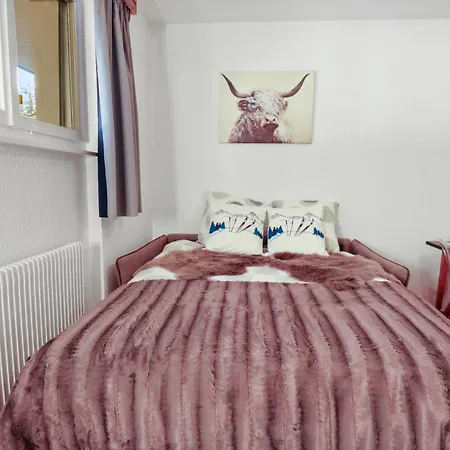 Renove Cosy Et Centre, Ski-in Ski-out *