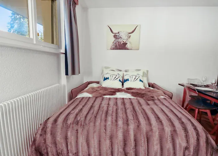 Renove Cosy Et Centre, Ski-in Ski-out *