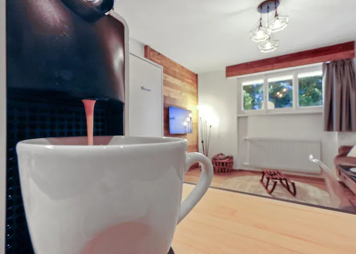 公寓 Renove Cosy Et Centre, Ski-in Ski-out 克莱恩 蒙塔纳