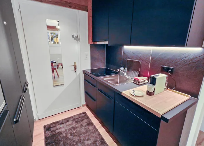 Renove Cosy Et Centre, Ski-in Ski-out 아파트 *